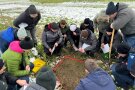 Gruppe Studierender testet mit einem Berater das Regenwurmvorkommen im Boden.