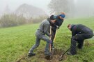 Drei Studierende graben auf einer Wiese ein Loch zum Pflanzen von seltenen Obstsorten