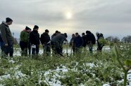 Gruppe Studierender steht auf einem Acker, ein Berater erläutert die verschiedenen Zwischenfruchtmischungen.